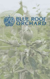 Blue roof Orchard copy