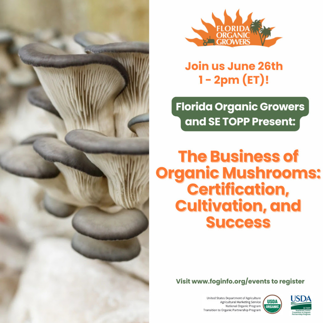 Buisness of Organic Mushrooms