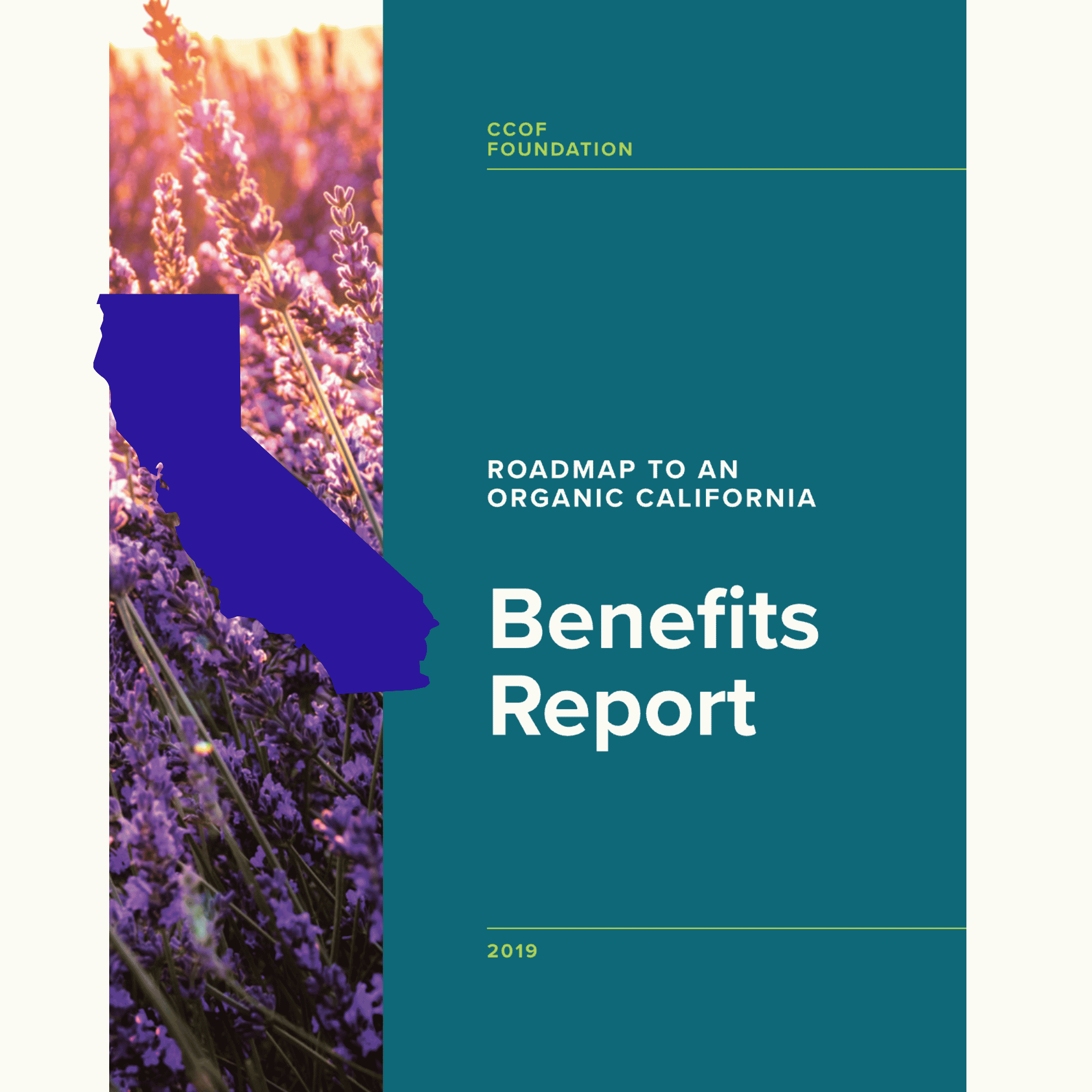 California Action Plan (1)