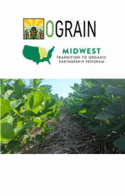 Copy of Organic Seed to Spirit Field Day