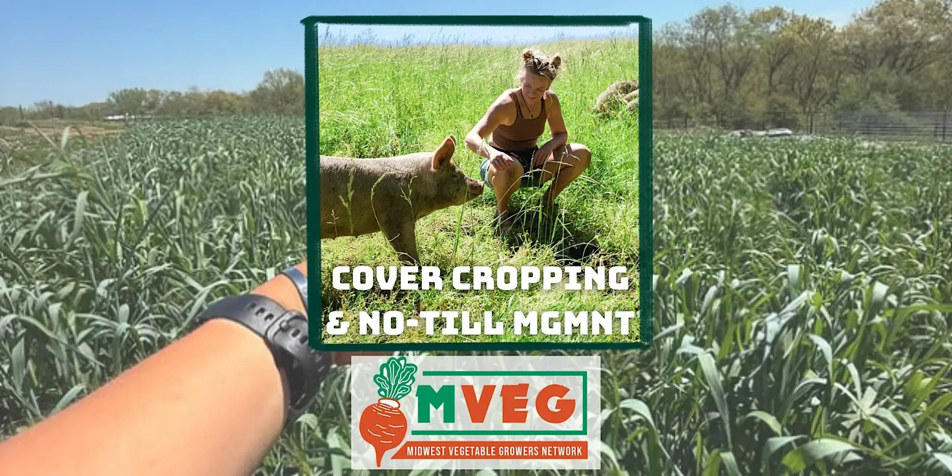 Cover Cropping No till