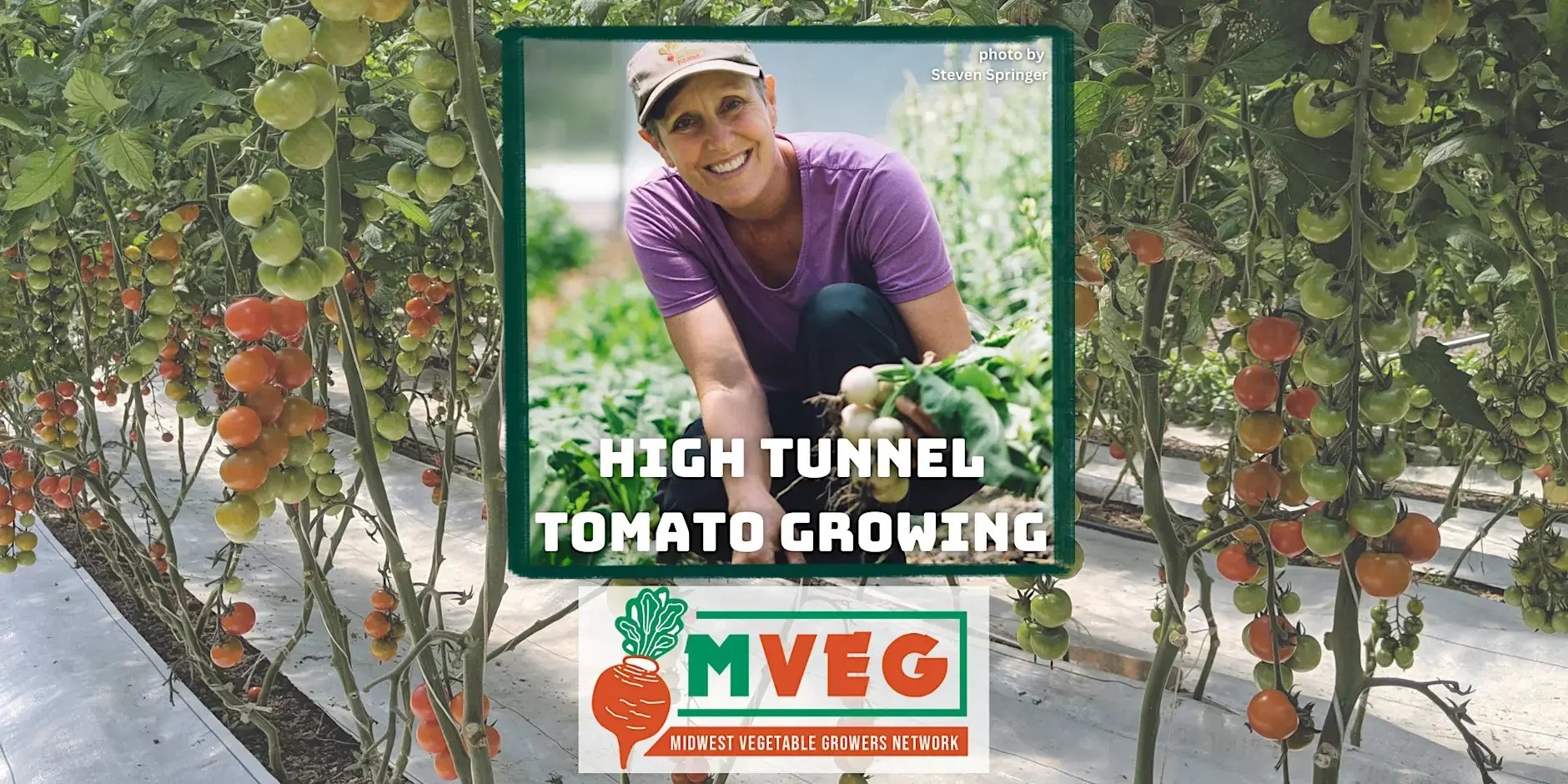 High Tunnel