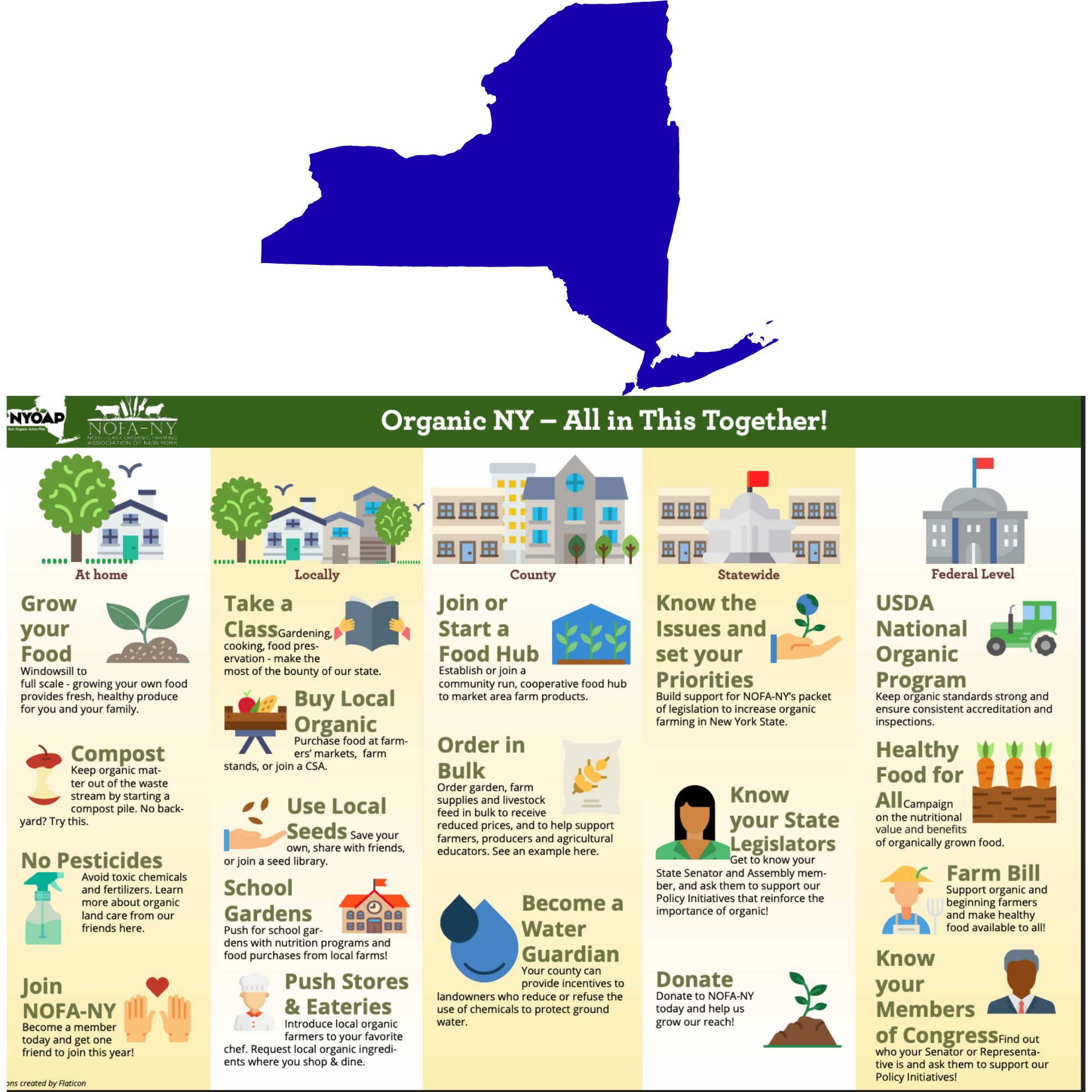 NY Action Plan