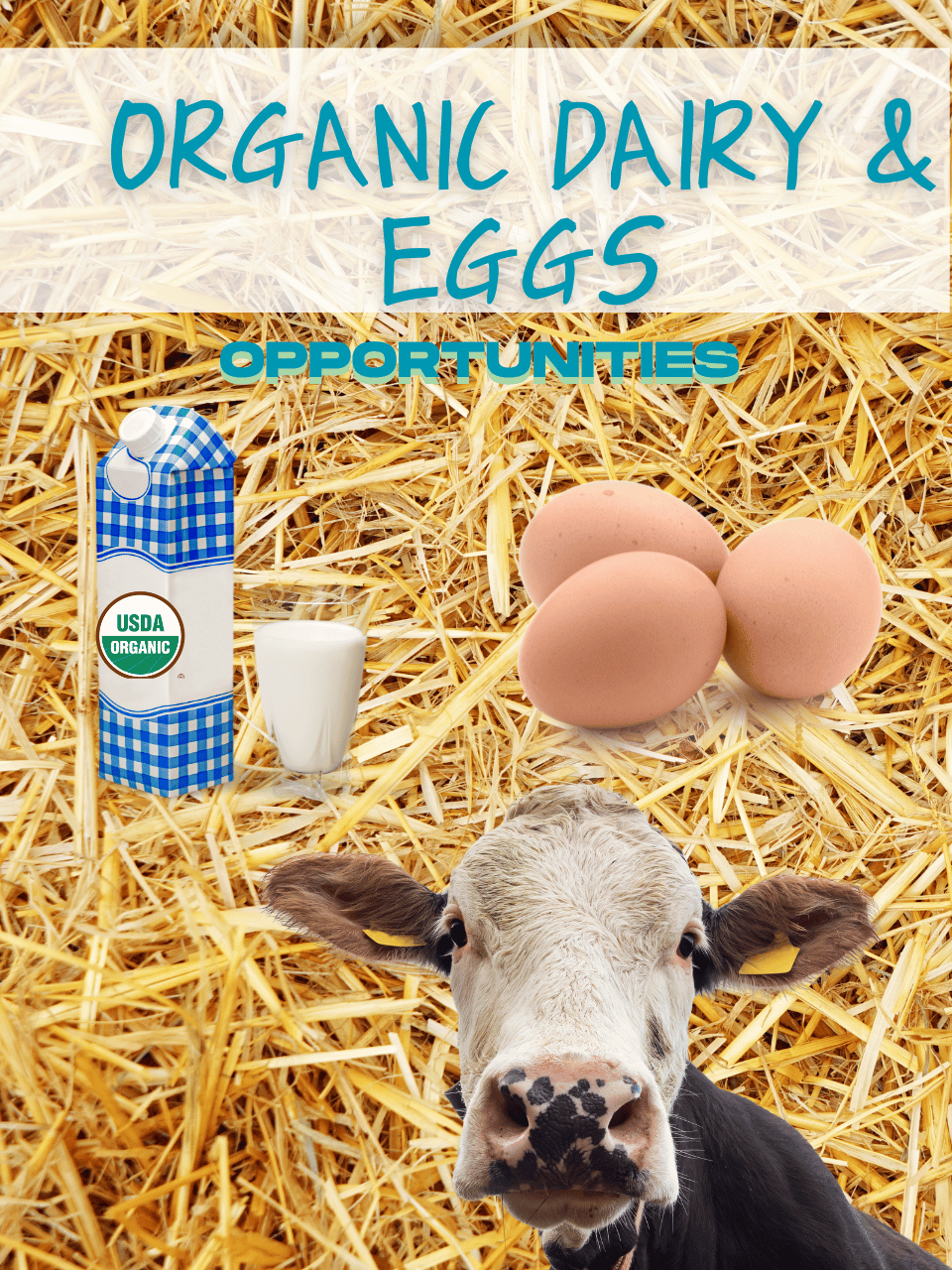 Organic Dairy & Eggs
