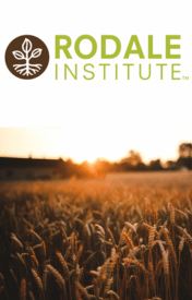 Organic Grain Aggregation and Transportation