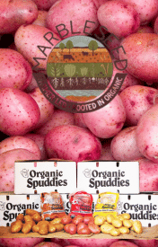 Organic Potatoe Day
