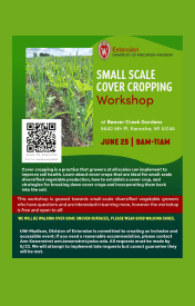Small Scale Cover Cropping
