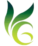 Vibrant Gardens_Cropped-Logo-no-background