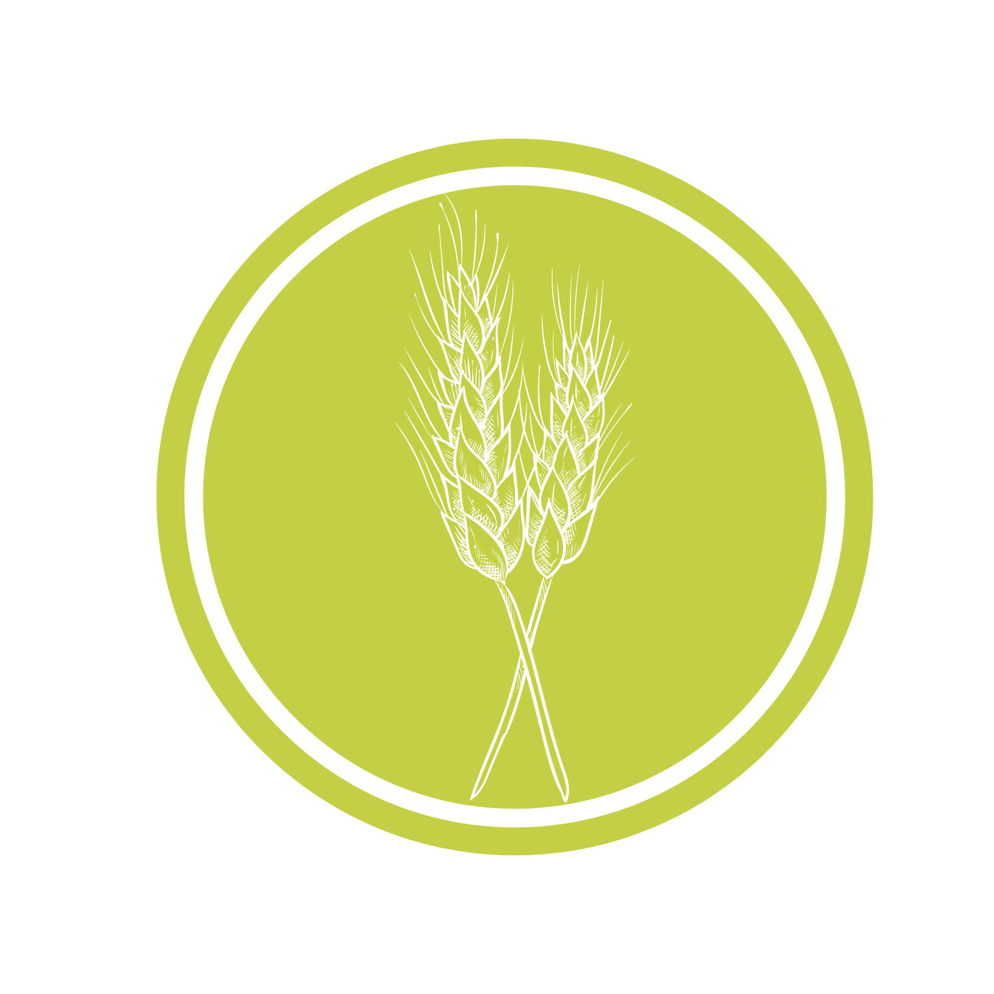 Wheat