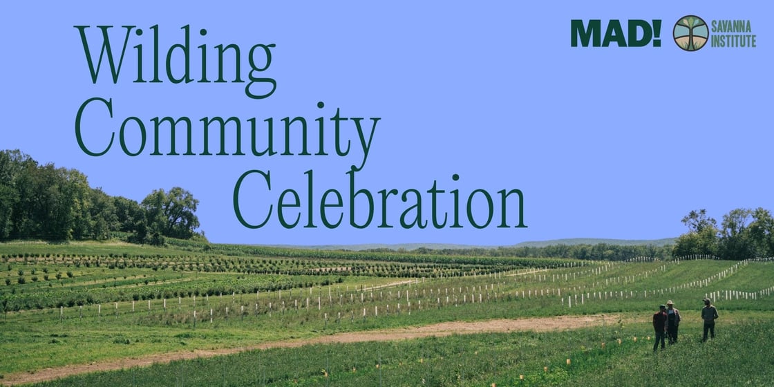 Wilding Community Celebration
