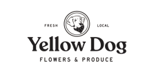YellowDogbanner-clear