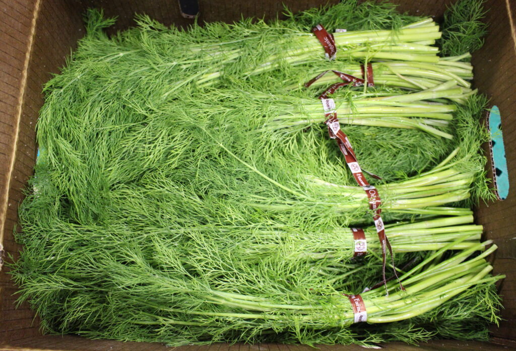 2016-0614-Dill-1024x697