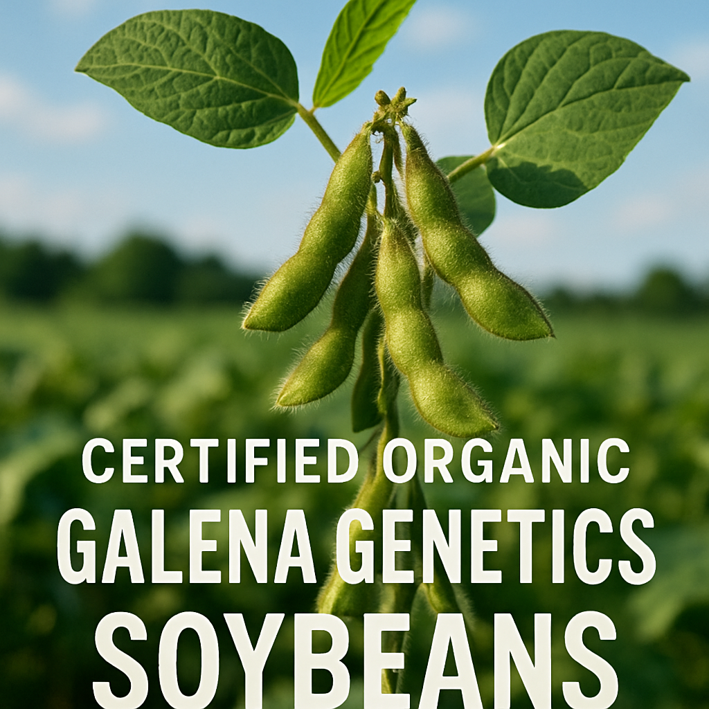 Soybean plant outside with the words Certified Organic Galena Genetics Soybeans-1