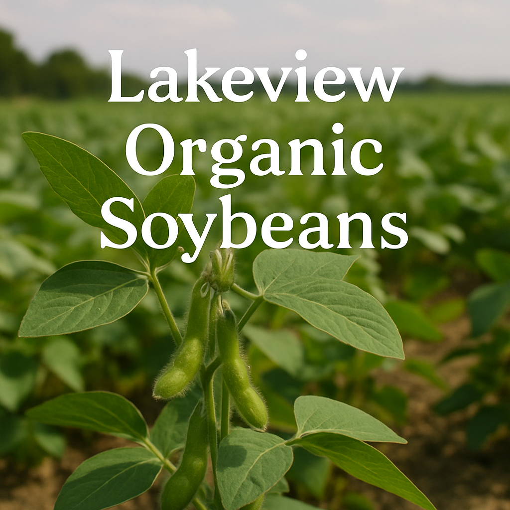 Soybeans plant outside with the words Lakeview Organic Soybeans