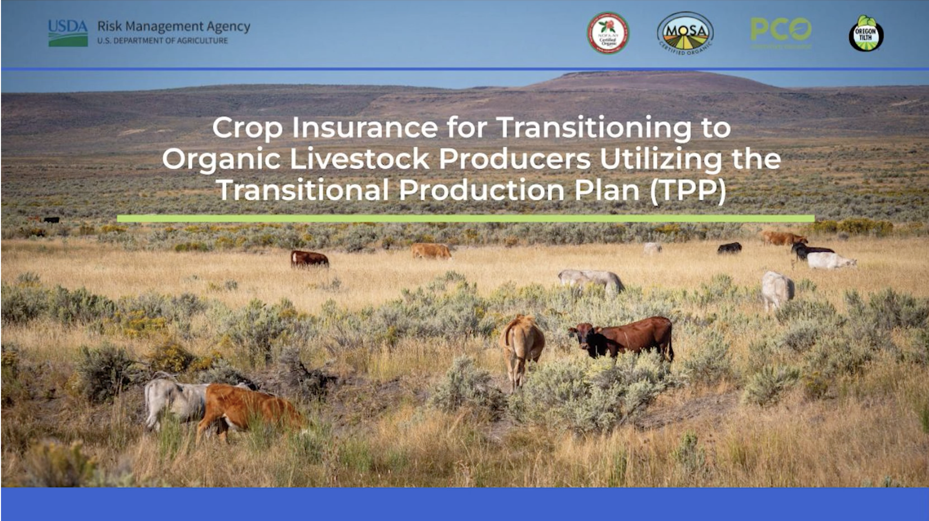 Accessing Crop Insurance with a Transitional Production Plan (Livestock)