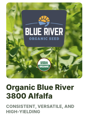 Blue River 3800 2