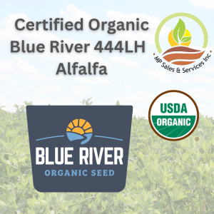 Certified Organic Blue River 444LH Alfalfa
