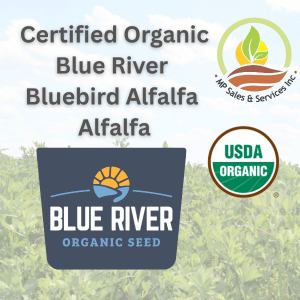 Certified Organic Organic Blue River Bluebird Alfalfa (1)