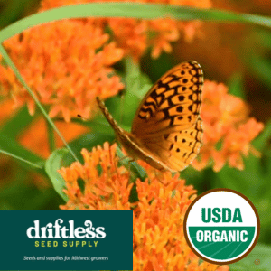 Copy of Driftless Seed Supply-Organic Butterflyweed Native Prairie Milkweed Seeds