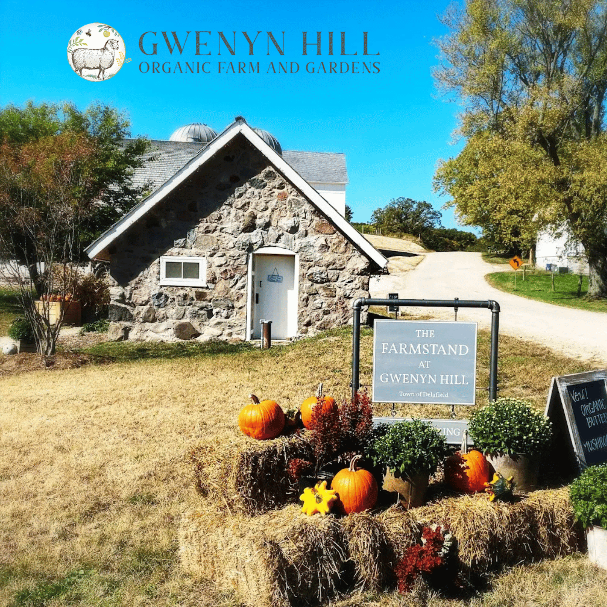 The Farmstand at Gwenyn Hill