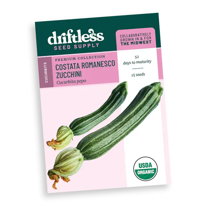 Costata Romanesco Premium Heirloom Italian Zucchini - Organic