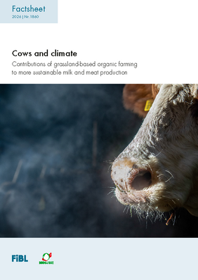 Cows & Climate