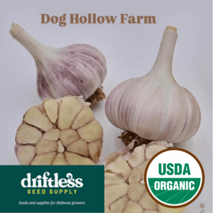 Driftless Seed Supply-Dog Hollow Farm Red Striped Organic Garlic Seeds