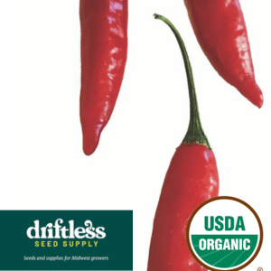 Driftless Seed Supply-Organic Aji Bruja Hot Pepper Seeds