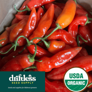 Driftless Seed Supply-Organic Aji Cristal Heirloom Hot Pepper Seeds