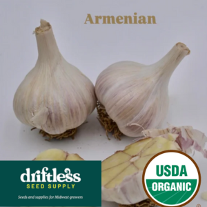 Driftless Seed Supply-Organic Armenian Organic Porcelain Garlic