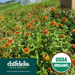 Driftless Seed Supply-Organic Aztec Sunset Zinnia Mix Seeds