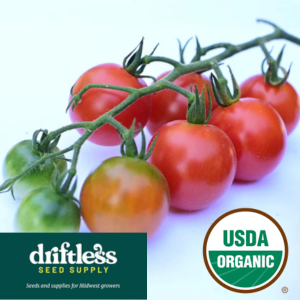 Driftless Seed Supply-Organic Be My Baby Red Cherry Tomato Seeds