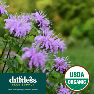 Driftless Seed Supply-Organic Bee Balm Native Prairie Forb