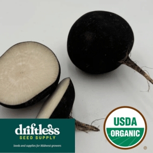 Driftless Seed Supply-Organic Black Spanish Winter Storage Radish Seeds