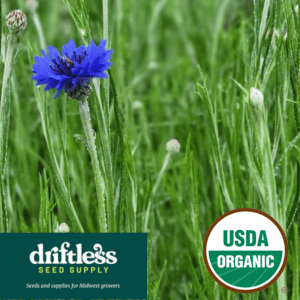 Driftless Seed Supply-Organic Blue Boy Bachelors Button Flower  Seeds