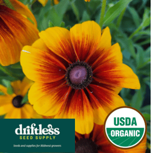 Driftless Seed Supply-Organic Butterflyweed Native Prairie Milkweed Seeds