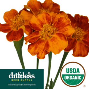 Driftless Seed Supply-Organic Carmen Redux Sweet Frying Pepper Seeds-1