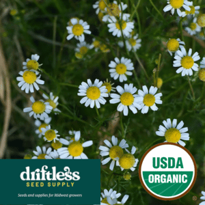 Driftless Seed Supply-Organic Chamomile Edible Flower and Calming Herb Seeds