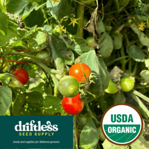 Driftless Seed Supply-Organic Cherry Falls Mini Patio Red Cherry Tomato Seeds