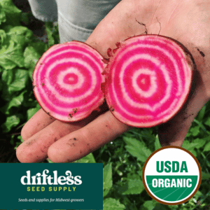 Driftless Seed Supply-Organic Chioggia Guardsmark Specialty Heirloom Beet Seeds
