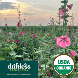 Driftless Seed Supply-Organic Daynas Backyard Pigpen Hollyhock Mix Seeds