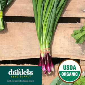 Driftless Seed Supply-Organic Deep Purple Bunching Onion Seeds