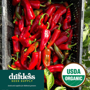 Driftless Seed Supply-Organic Early Perfect Italian Red Roasting Pepper Seeds