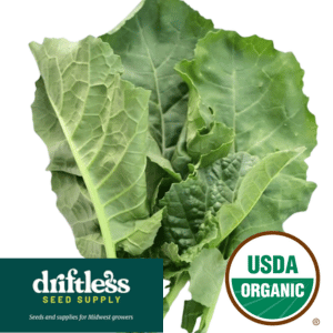 Driftless Seed Supply-Organic Ethiopian Blue Kale Mild Mustard Green Seeds