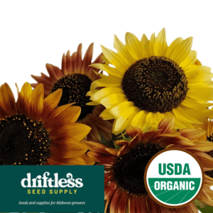 Driftless Seed Supply-Organic Evening Colors Blend Branching Sunflower Seeds