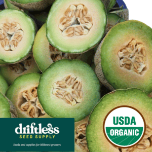 Driftless Seed Supply-Organic Fordhook Gem Heirloom Honeydew Muskmelon  Seeds