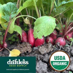 Driftless Seed Supply-Organic French Breakfast Improved Radish Seeds