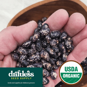 Driftless Seed Supply-Organic Galaxy Dry Bean Seeds