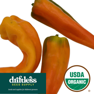 Driftless Seed Supply-Organic Gatherers Gold Sweet Italian Frying Pepper Seeds