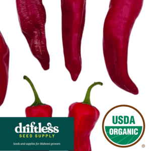 Driftless Seed Supply-Organic Georgia Flame Hot Pepper Seeds